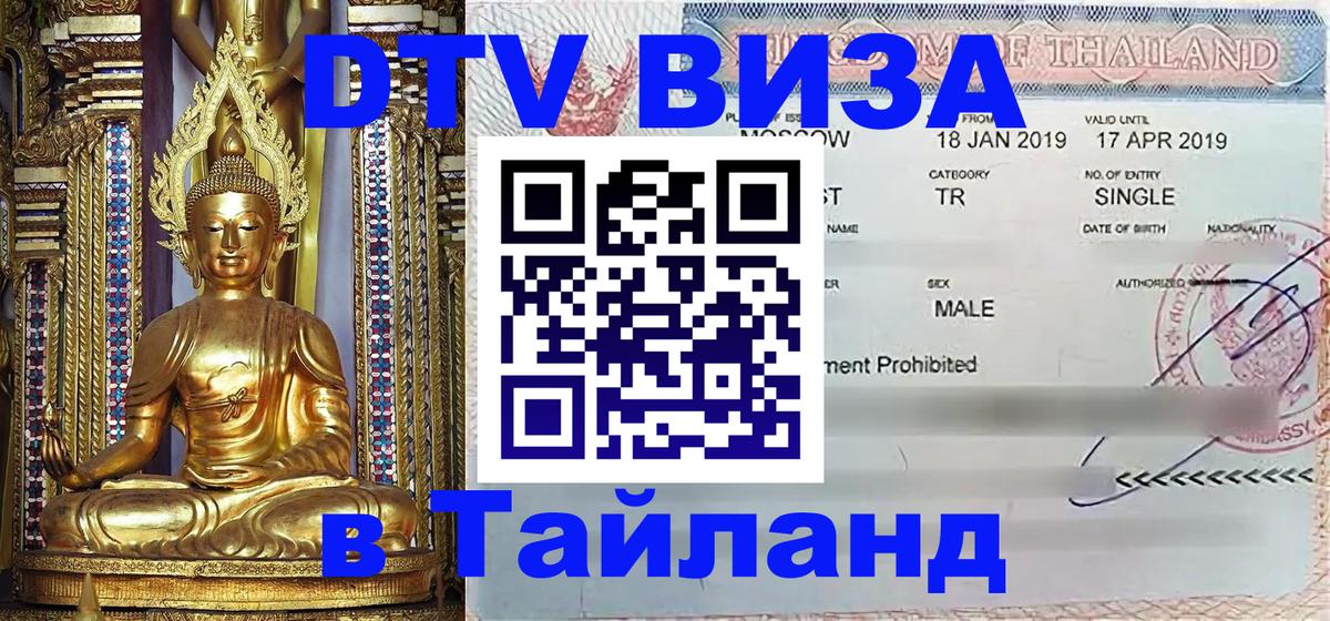 Оформление DTV визы под ключ: стоимость и тарифы, только загранпаспорт - 09.01.2026 